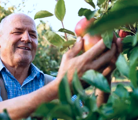  - Soluções | Agronegócios | Riza | Sec